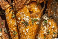 How to Grill Corn on the Cob for Smoky, Charred Flavor