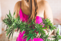 Should You Add Chlorophyll to Your Edibles?