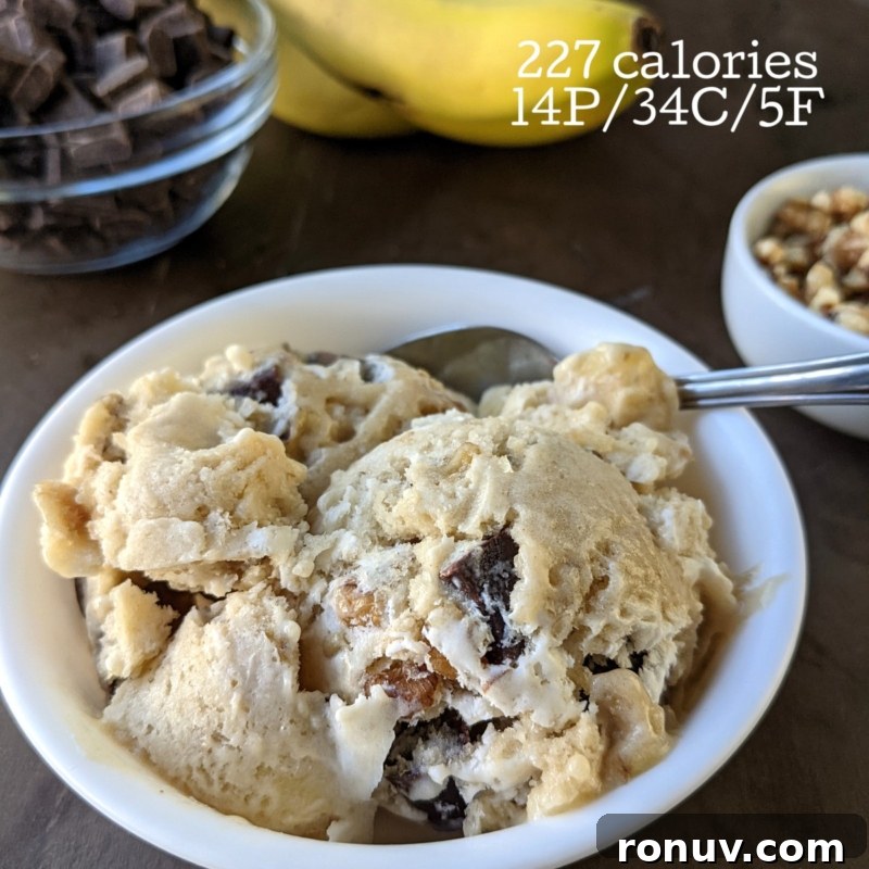 chunky monkey protein ice cream with nutrition info for calories and macros