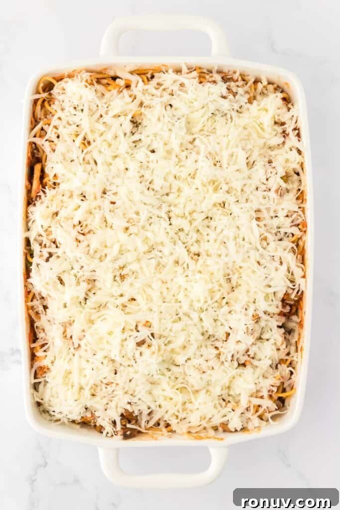 spaghetti topped with cheese