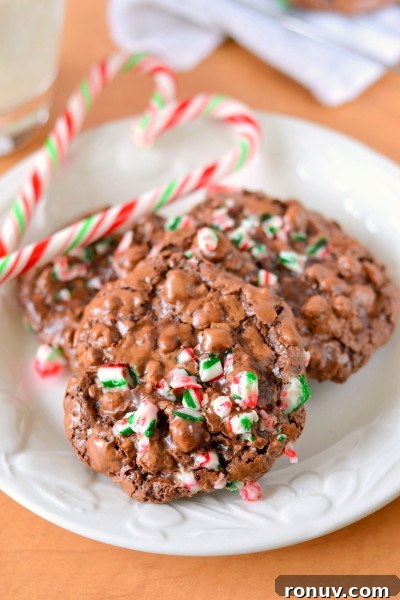 Peppermint Chocolate Puddle Cookies - Gluten, Grain, Dairy-Free 2 peppermint-chocolate-puddle-cookies-1