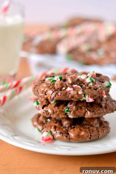 Peppermint Chocolate Puddle Cookies - Gluten, Grain, Dairy-Free 3 peppermint-chocolate-puddle-cookies-2