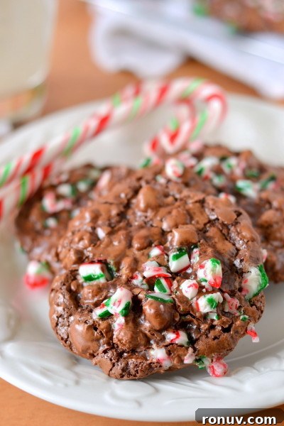 Peppermint Chocolate Puddle Cookies - Gluten, Grain, Dairy-Free 7 peppermint-chocolate-puddle-cookies-7