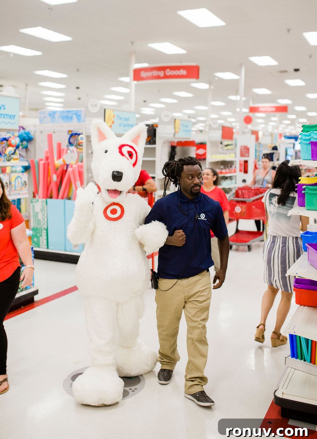 Target-Themed Birthday Party Ideas and Decor 19 target mascot
