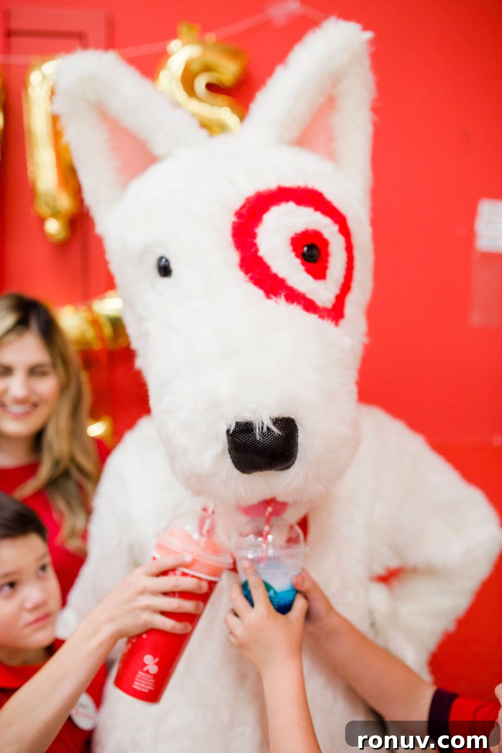 Target-Themed Birthday Party Ideas and Decor 22 taget mascot