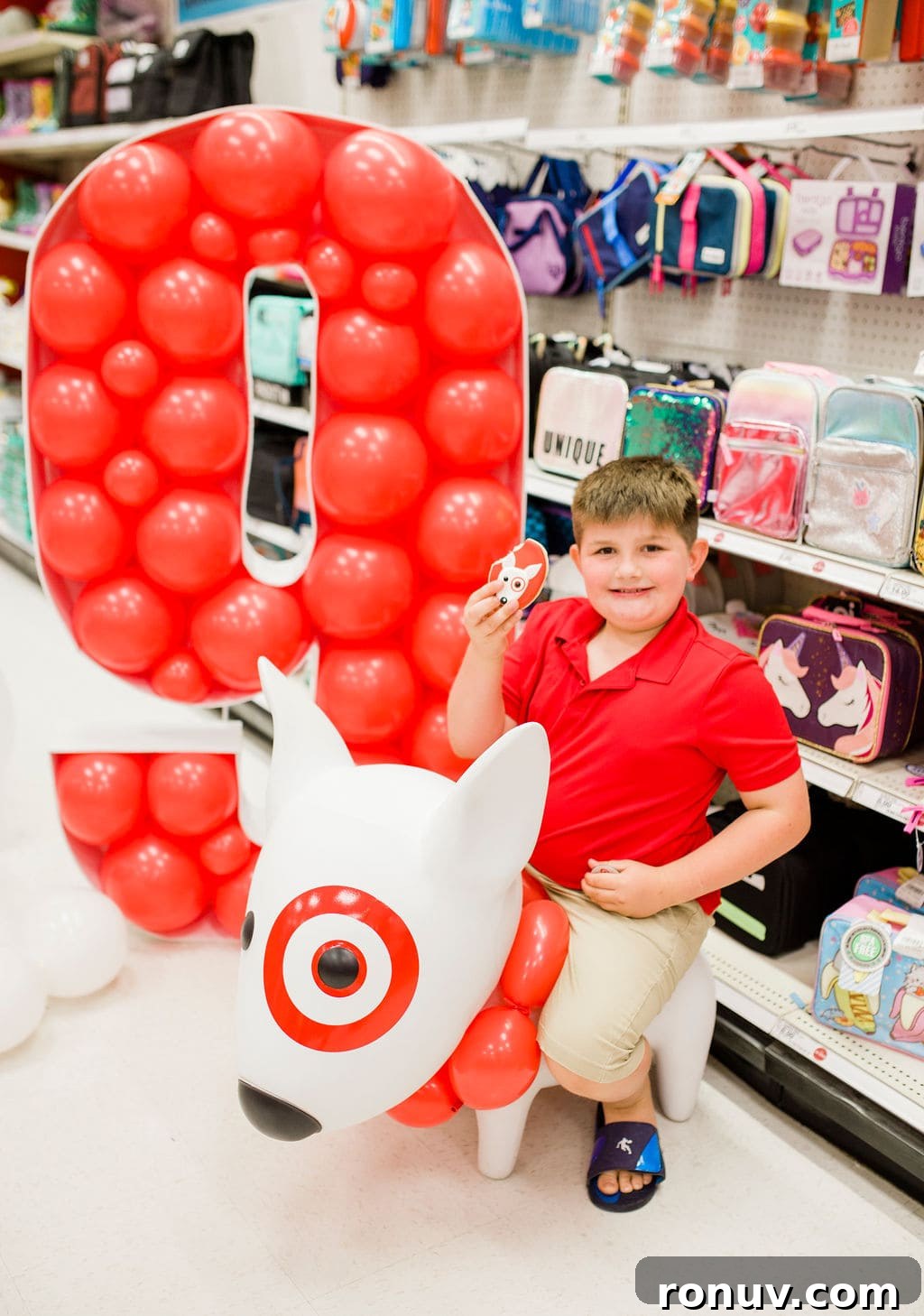 Target-Themed Birthday Party Ideas and Decor 4 siting on a taget dog