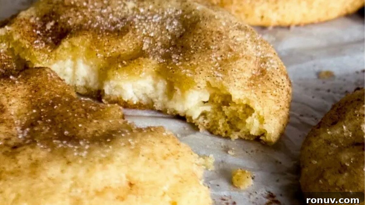 Gooey Stuffed Cookies: Chewy, Melt-in-Your-Mouth Fillings 14 img 106122 13