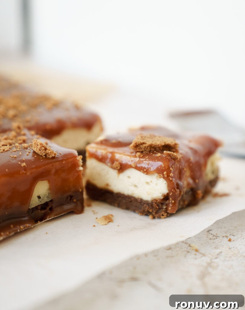 Salted Caramel Biscoff Cheesecake Bars Recipe 3 Salted caramel drizzled over cheesecake bars