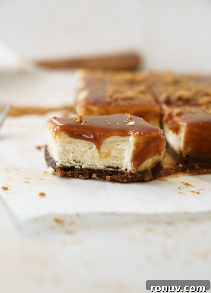 Salted Caramel Biscoff Cheesecake Bars Recipe 4 Cheesecake bars cooling on a rack