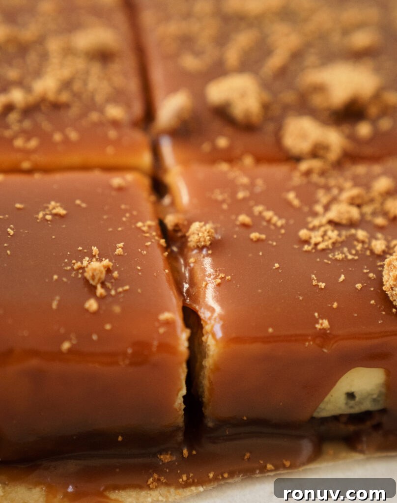 Salted Caramel Biscoff Cheesecake Bars Recipe 5 Finished salted caramel Biscoff cheesecake bars