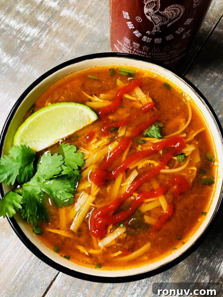 Slow Cooker Hoisin Peanut Noodles Recipe 12 Slow Cooker Sriracha Chicken Noodle Soup