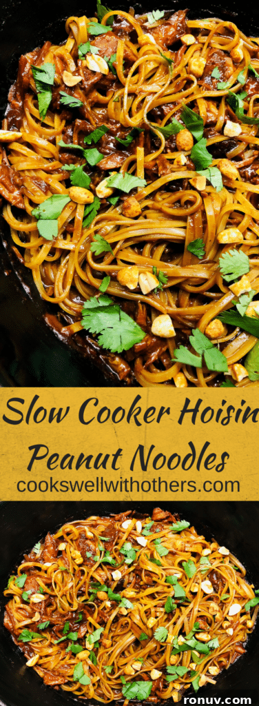 Slow Cooker Hoisin Peanut Noodles Recipe 14 Slow Cooker Hoisin Peanut Noodles (1)