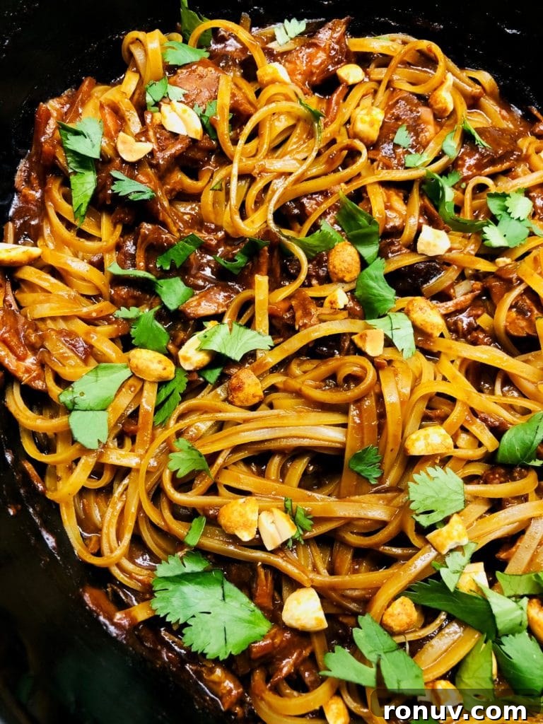Slow Cooker Hoisin Peanut Noodles Recipe 8 Slow Cooker Hoisin Peanut Noodles
