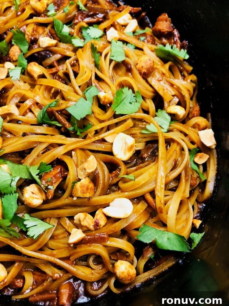 Slow Cooker Hoisin Peanut Noodles Recipe 9 Slow Cooker Hoisin Peanut Noodles