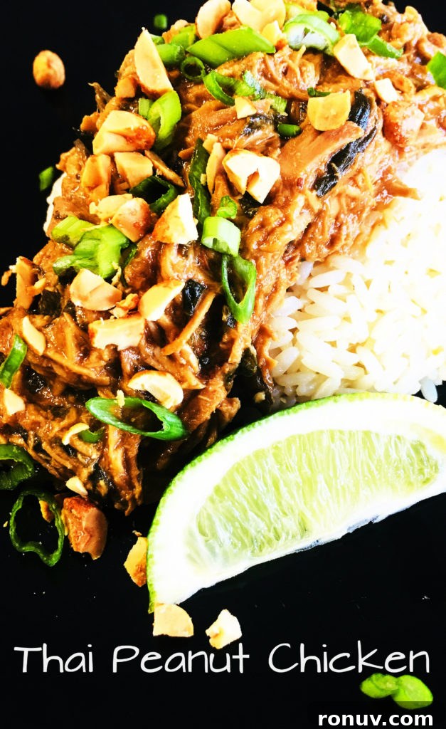 Slow Cooker Hoisin Peanut Noodles Recipe 10 Thai Peanut Chicken
