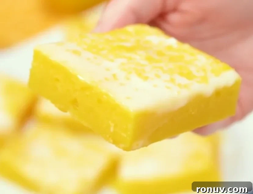 Lemon Cream Cheese Brownies Recipe with Tangy Swirl 8 Slices of lemon brownies ready to serve
