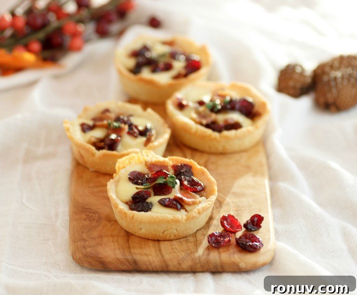 Mini Bacon, Cranberry and Cheese Tartlets Recipe 8 Savory Bacon Cranberry Cheese Tartlets