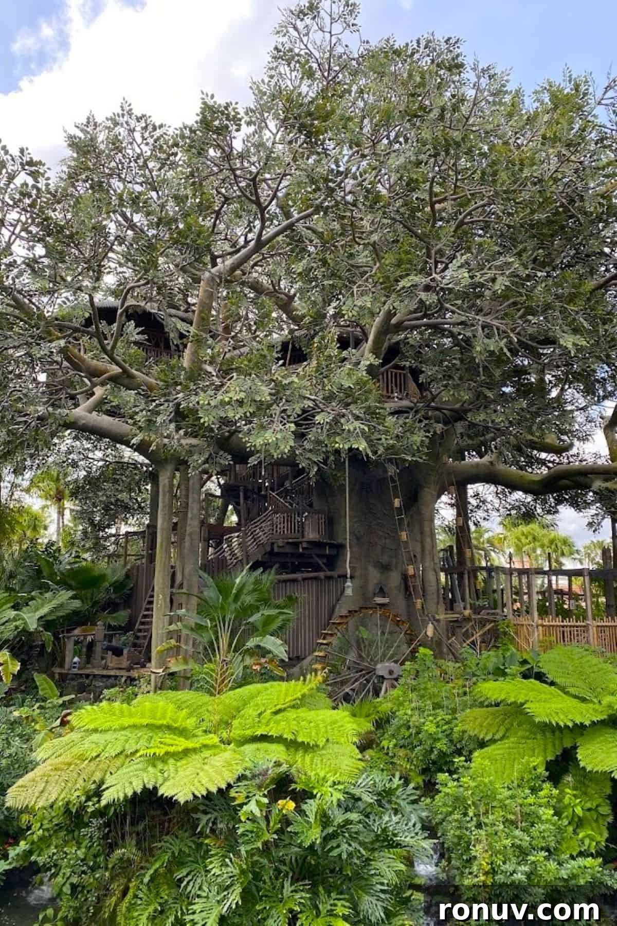 21 Things to Do at Magic Kingdom Besides Rides 14 swiss family treehouse
