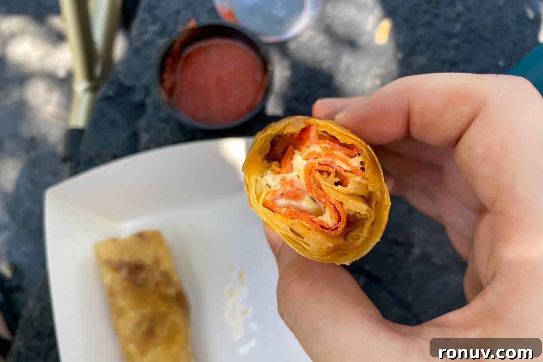 21 Things to Do at Magic Kingdom Besides Rides 7 pepperoni spring roll and sauce adventureland spring roll cart