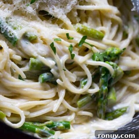 Creamy Parmesan Noodles