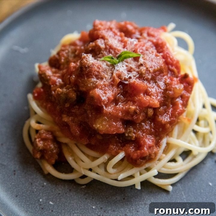 Spaghetti and Meat Sauce