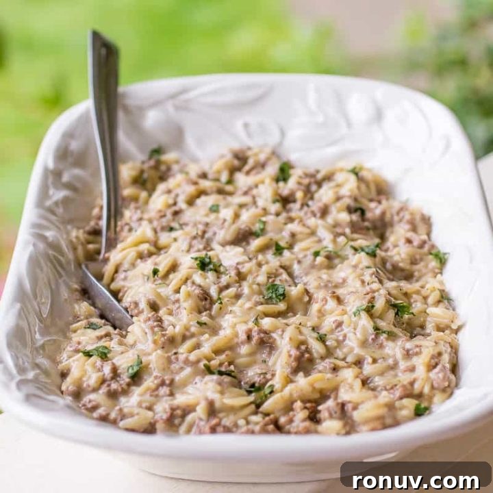 Swedish Meatball Orzo