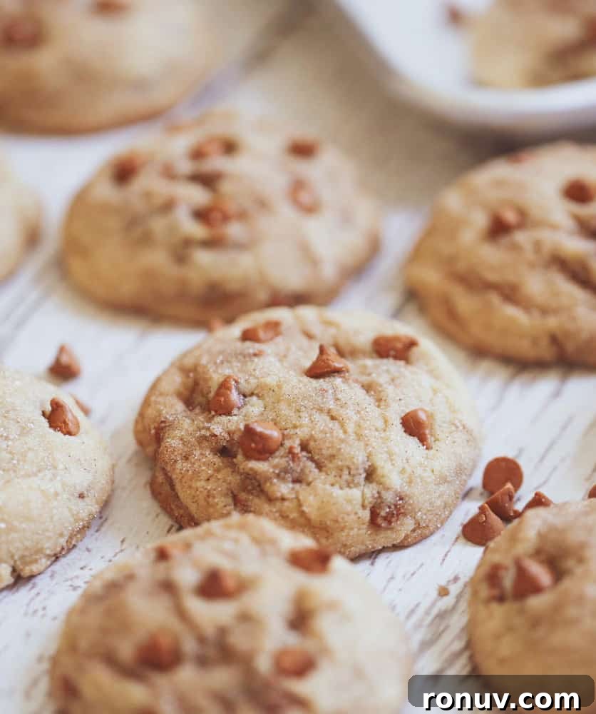 Cinnamon Bun Cookies Recipe: Soft, Swirled Cinnamon Treats 3 Snickerdoodle Cinnamon Chip Cookies