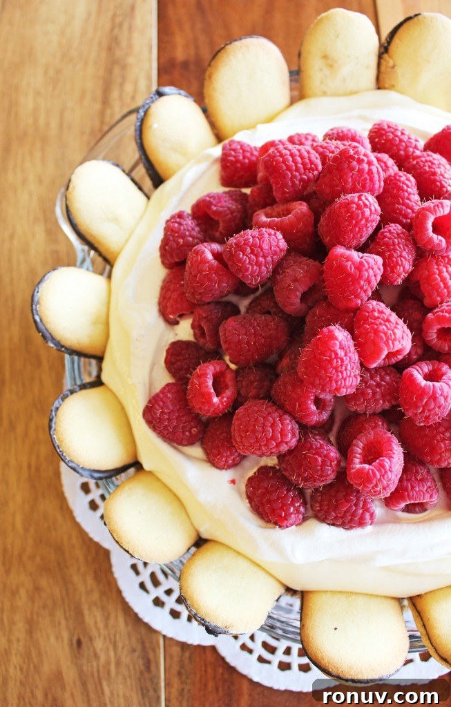 Silky White Chocolate Raspberry Pie with Milano Cookie Crust 5 White Chocolate Full size