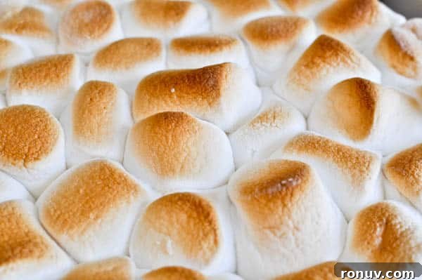 s'mores-5 img 14273 1