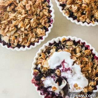 Naturally sweetened blueberry crisp with an oat and honey topping. Vegan and gluten-free.