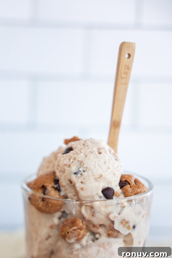 Healthy, high protein, vegan chocolate chip cookie dough blizzard.