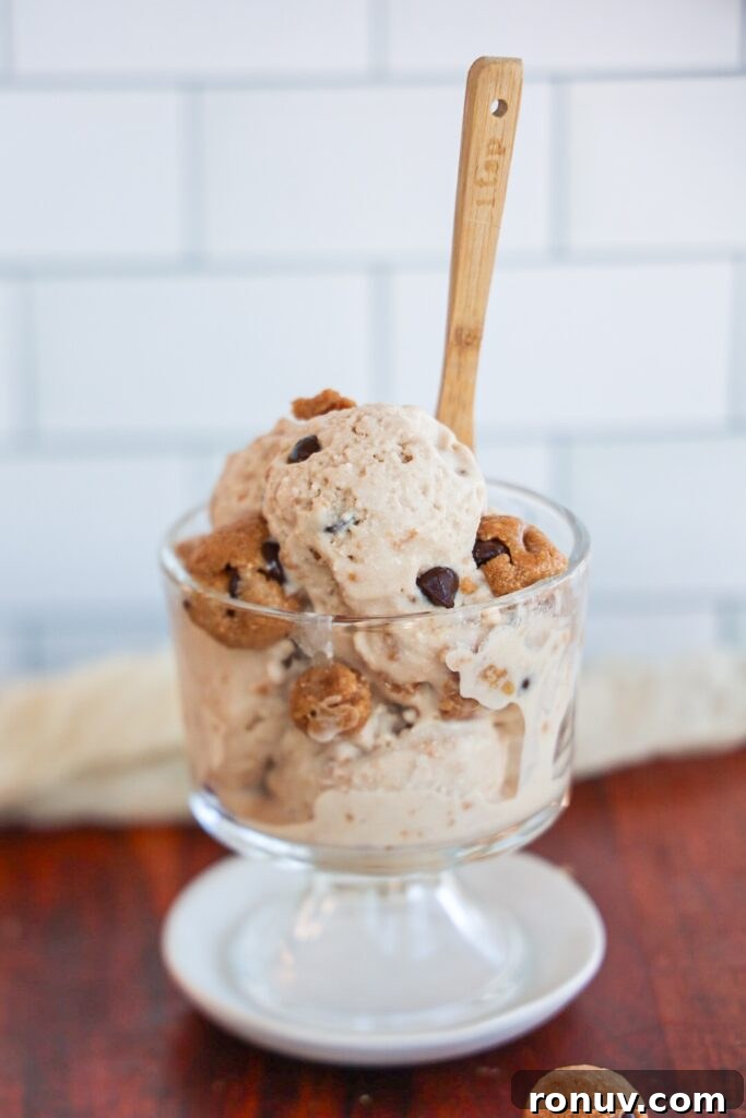 Healthy, high protein, vegan chocolate chip cookie dough blizzard.