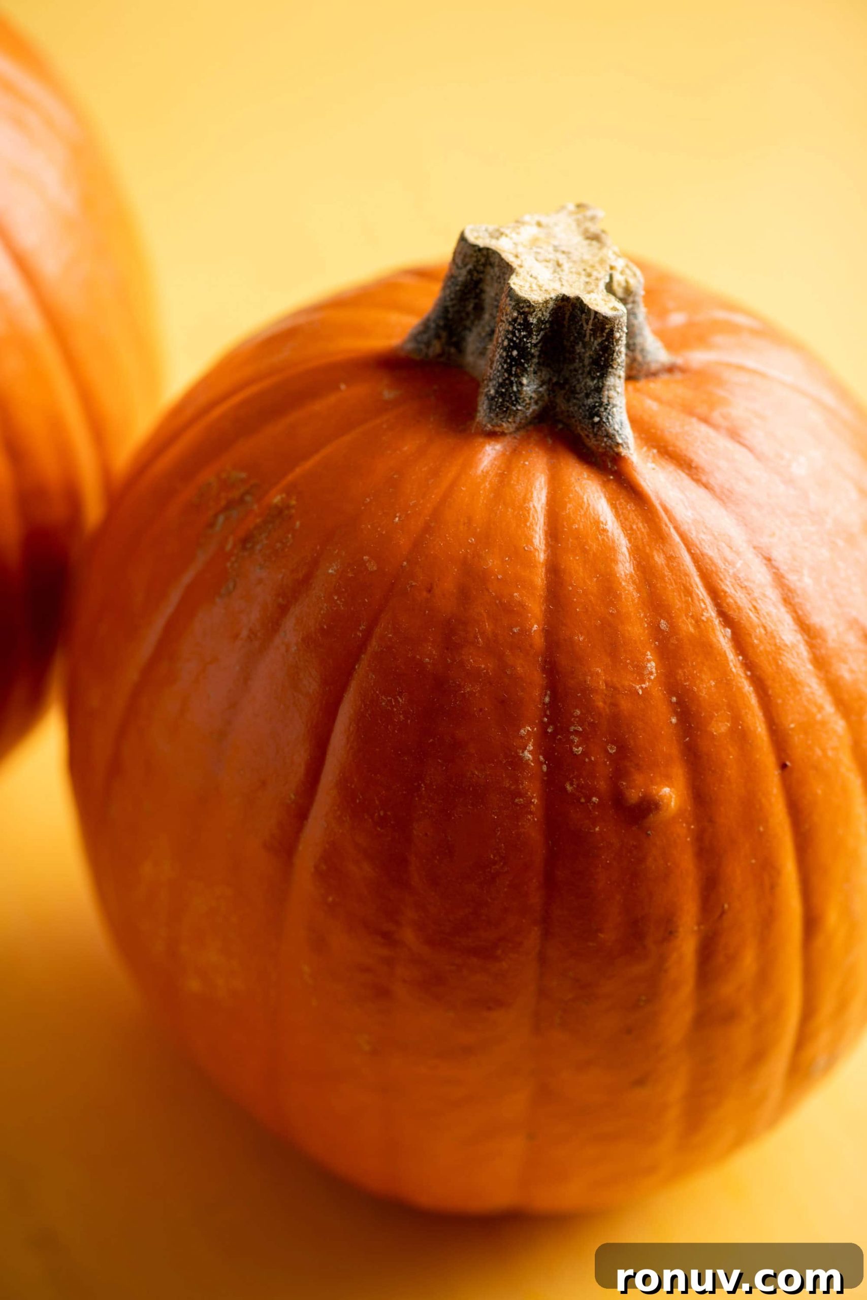 How to Cook Pumpkin: Roast, Puree, Soups and Sides 2 Close up of a pumpkin.