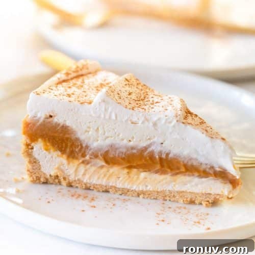 No Bake Pumpkin Cheesecake Pie