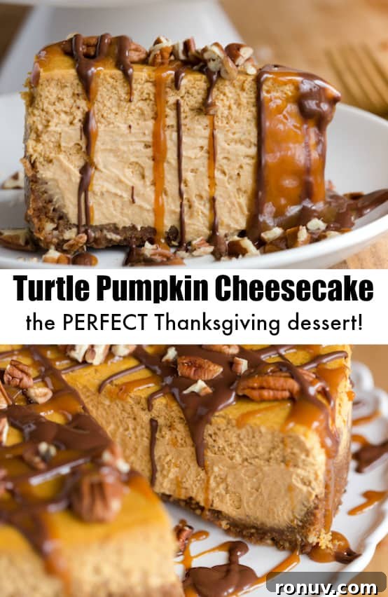 Turtle-Topped Pumpkin Cheesecake Recipe 10 Turtle Pumpkin Cheesecake