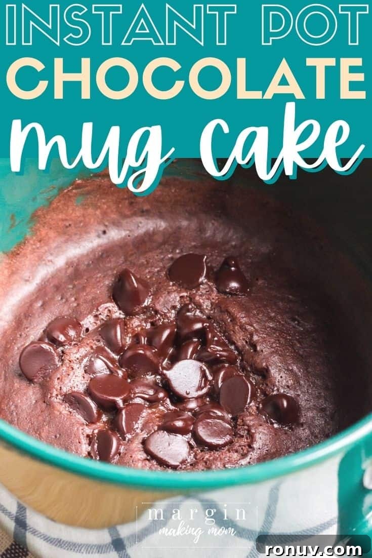 Instant Pot Single-Serve Chocolate Mug Cake 2 chocolate cake in a mug that was cooked in the Instant Pot pressure cooker