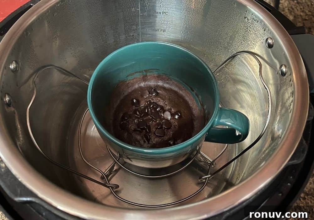 Instant Pot Single-Serve Chocolate Mug Cake 7 chocolate mug cake in the Instant Pot