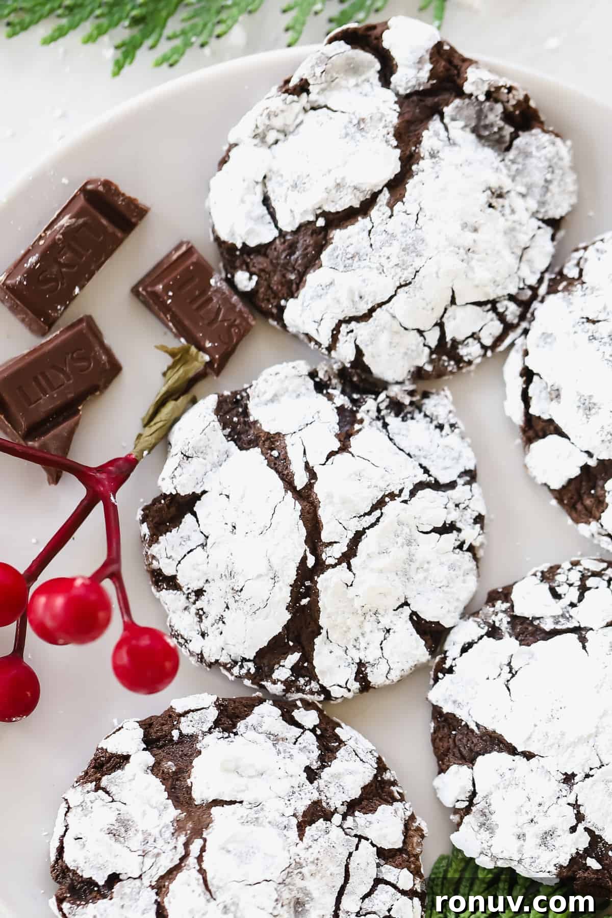 Baked crinkle cookies crinkle cookies in countertop