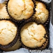 A baking tray holding five freshly baked muffins in paper liners.