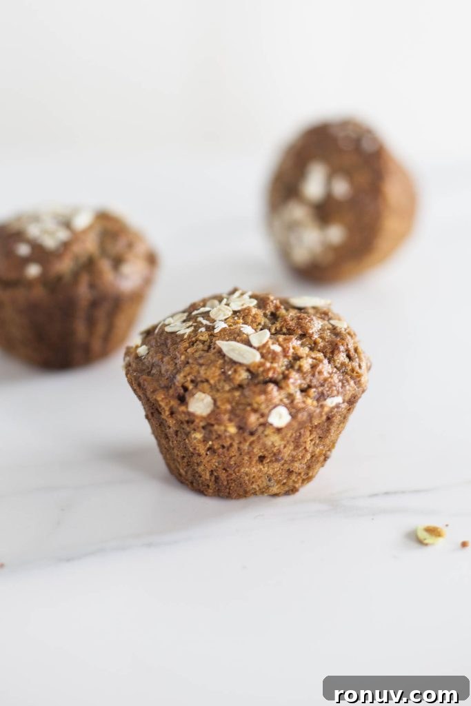 Make-Ahead Vegan Oatmeal Breakfast Muffins 3 Low fat & vegan Breakfast Porridge Muffins (oatmeal muffins)