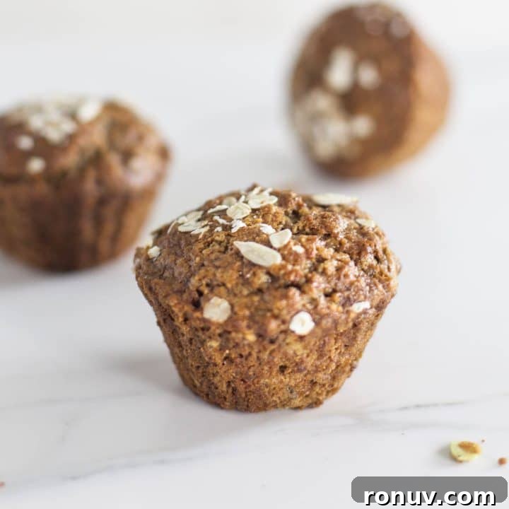 Multi-Seed Breakfast Porridge Muffins