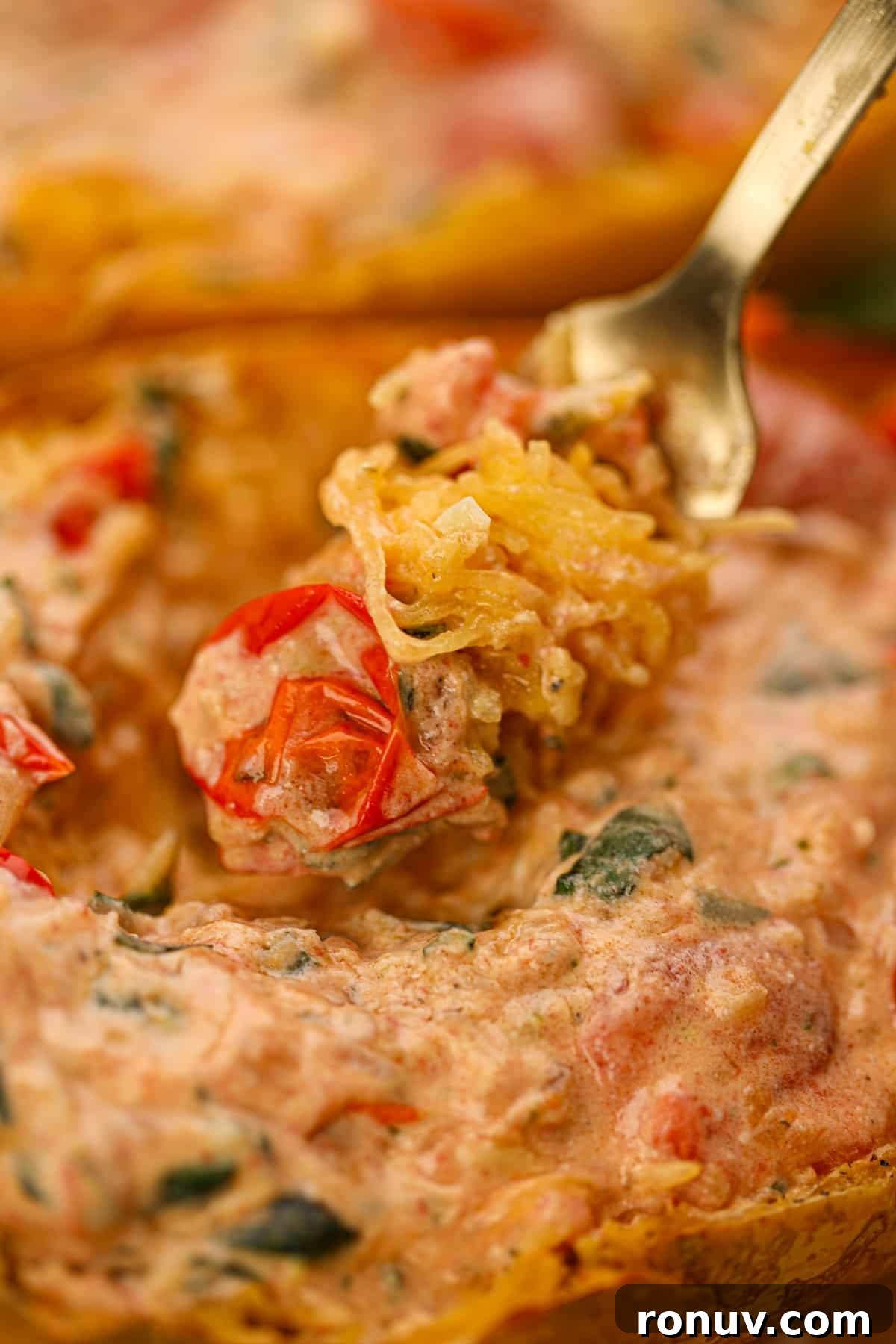 Creamy Boursin Spaghetti Squash Recipe 6 A fork twirling shredded spaghetti squash tossed with a creamy tomato sauce.