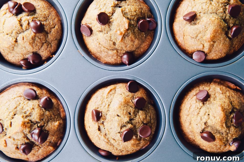 Banana Bread Muffins Made in a Blender 2 Blender Banana Bread Muffins