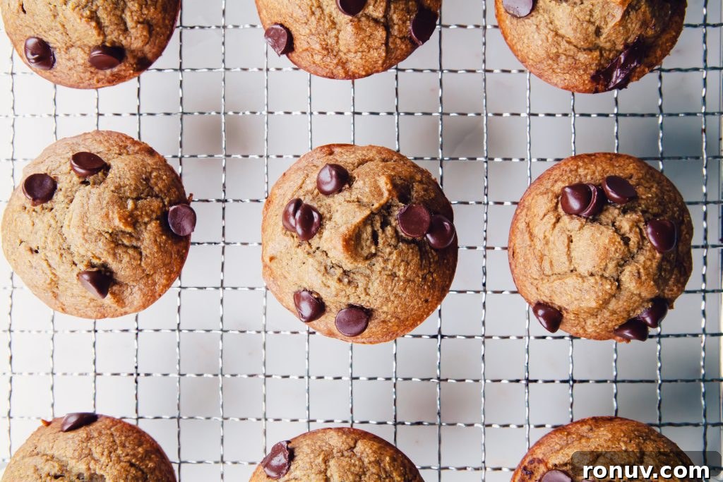 Banana Bread Muffins Made in a Blender 3 Blender Banana Bread Muffins