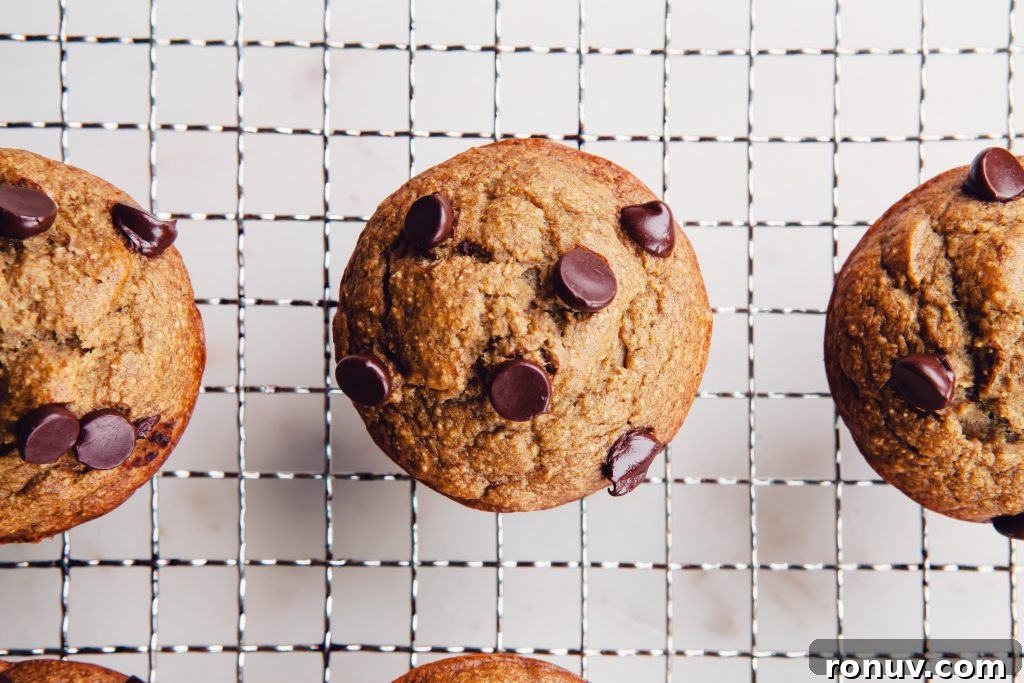Banana Bread Muffins Made in a Blender 4 Blender Banana Bread Muffins