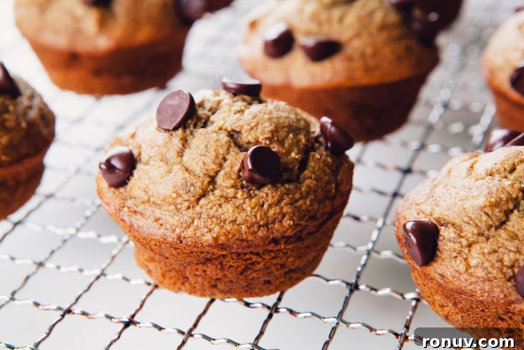 Banana Bread Muffins Made in a Blender 5 Blender Banana Bread Muffins
