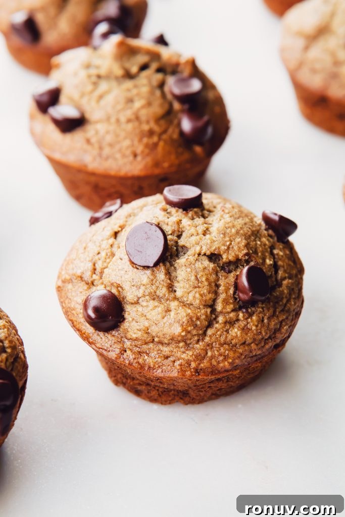 Banana Bread Muffins Made in a Blender 6 img 16683 5