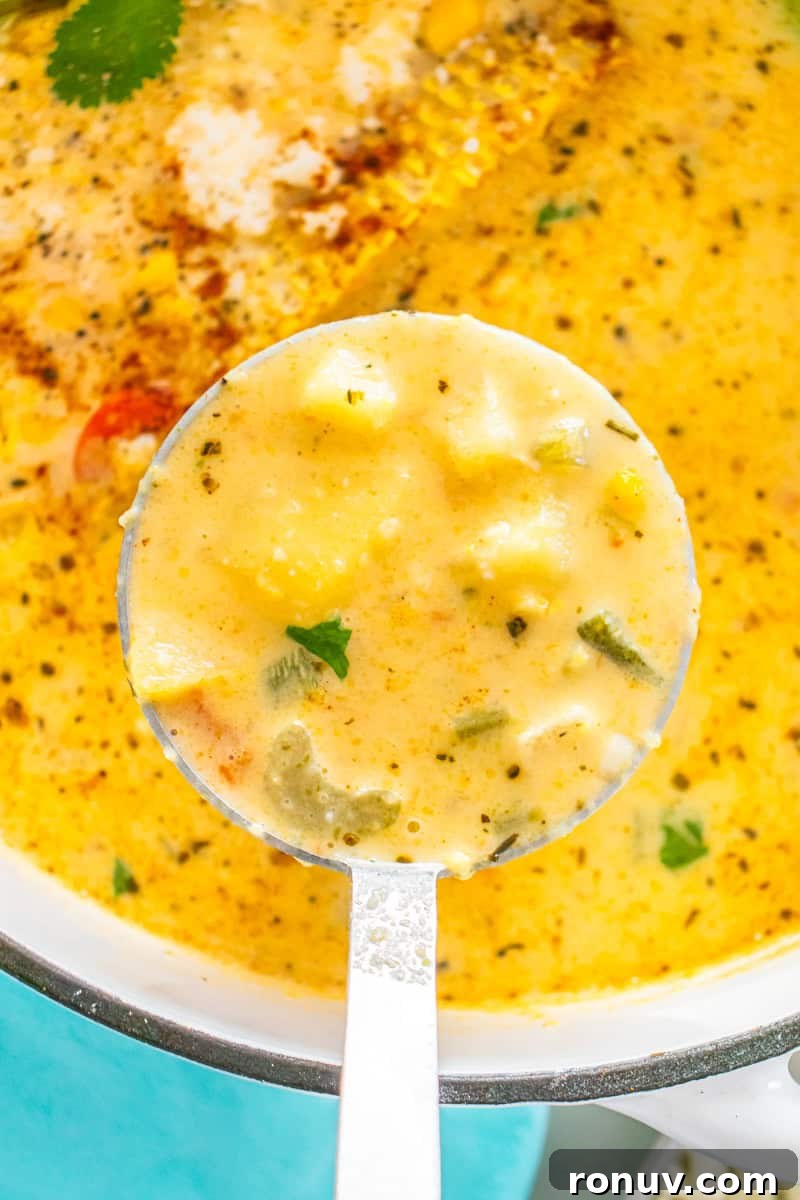 Creamy Mexican Street Corn Chowder Recipe with Cotija 7 a closeup of a ladle of corn chowder with corn, celery, potatoes, and cilantro.