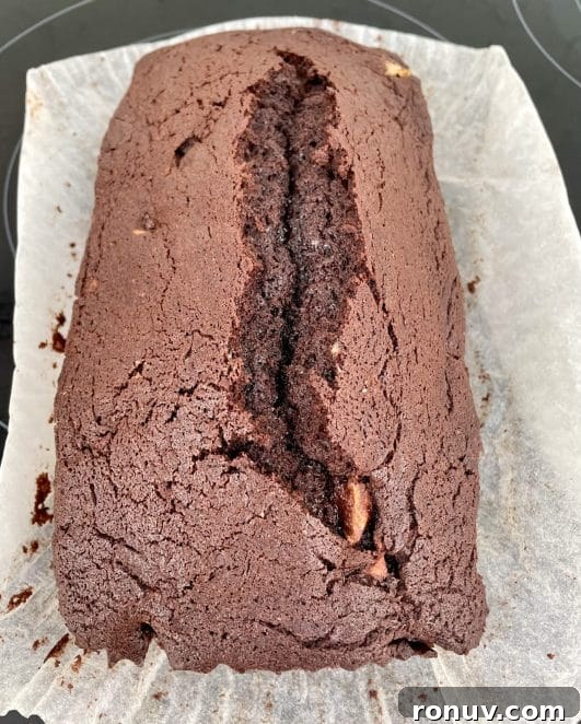 Moist Chocolate Loaf Cake Recipe 5 Chocolate Loaf Cake whole