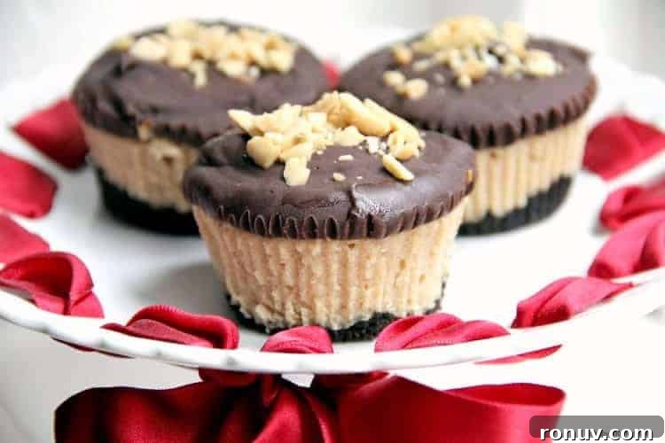 Mini Buckeye Cheesecake Bites Recipe 3 Buckeye cheesecakes on platter
